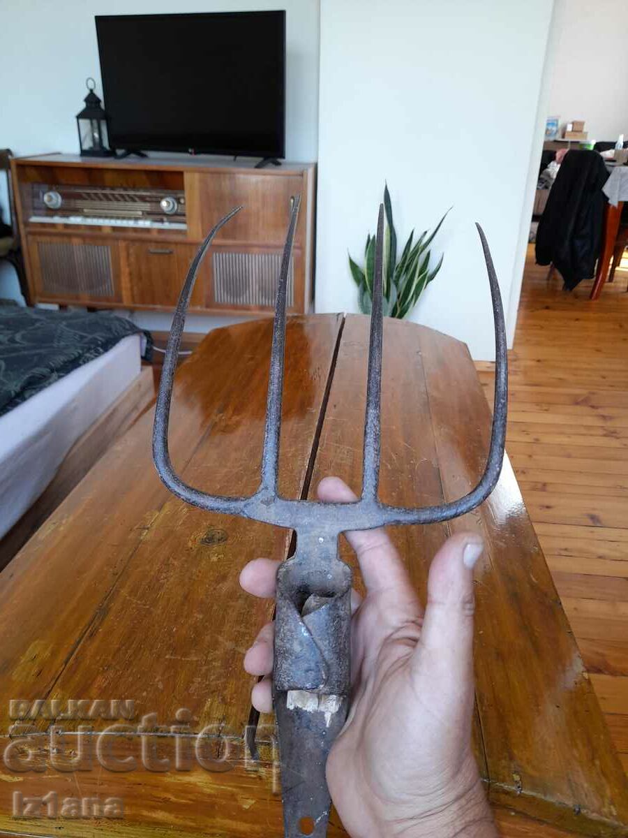 Old villa, nabunya - 5