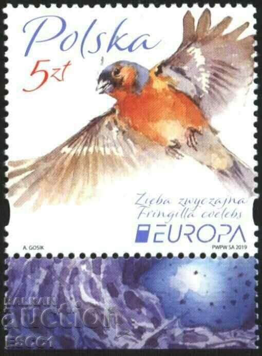 Pure μάρκα Ευρώπη SEPT Bird 2019 από την Πολωνία