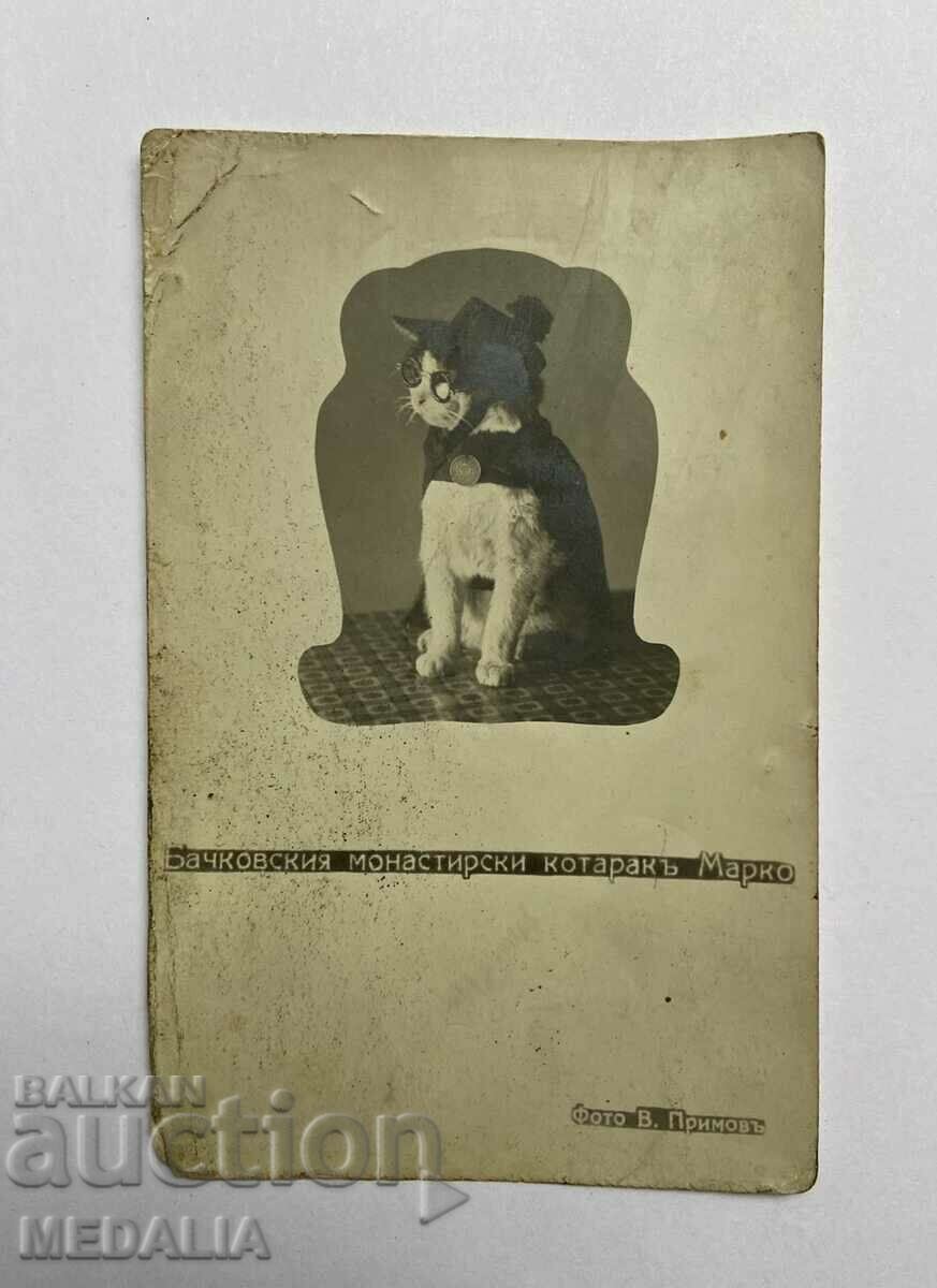 Κάρτα του Τσάρου - Γάτα του μοναστηριού Bachkovo Marko - 1929