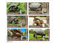 Clean Blocks Fauna Giant Tortoises 2019 de Tongo