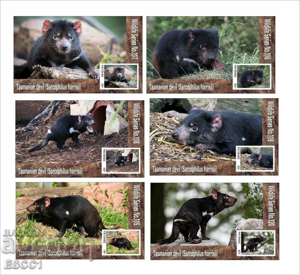 Чисти блокове  Фауна Тасманийски Дявол  2019  от Тонго