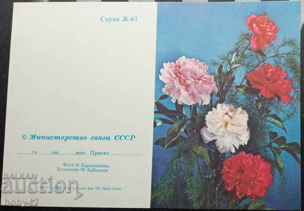 Telegrame LZ (URSS), ilustrație pe două fețe - D31