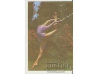 Calendar Sport-toto 1982 Gimnastica artistica tip 1
