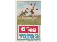 Календарче  Спорт-тото  1969 г. Художествена гимнастика