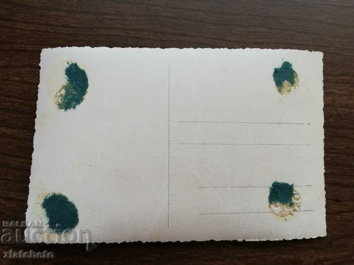 Аукцион Стара снимка Царство България - Аукцион Стара снимка Царство България -