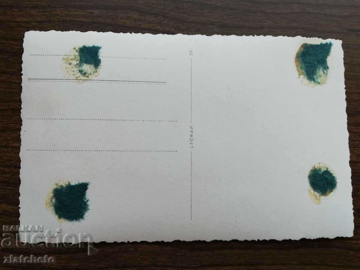 Стара снимка Царство България - с цена € 5.11 | 9.99 лв.