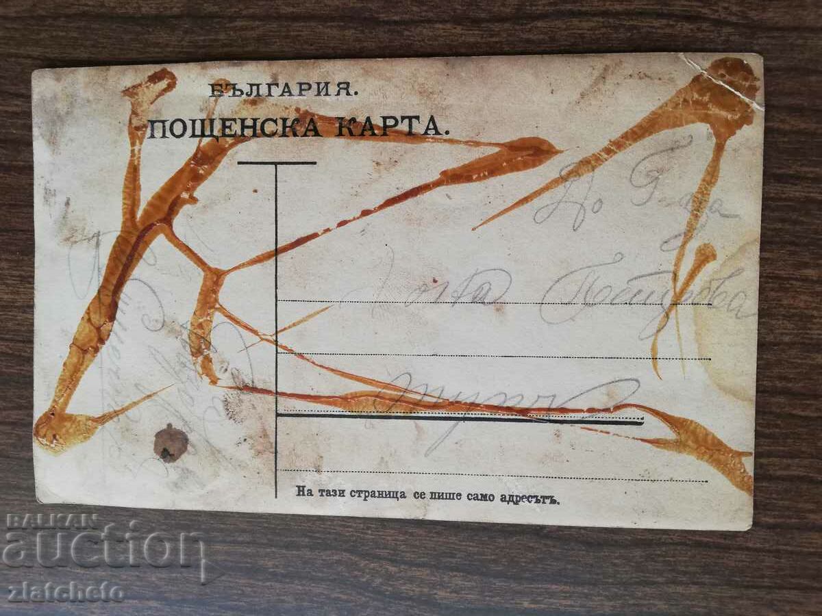 Auction  Old photo Kingdom of Bulgaria -