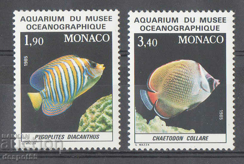 1986. Монако. Риби в аквариума на Океанографския музей.
