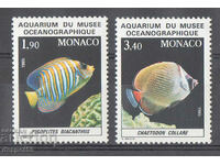 1986. Monaco. Fish in the aquarium of the Oceanographic Museum.