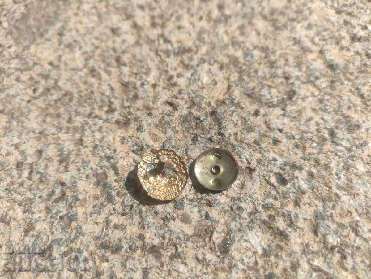 Auction NLRS badge Auction NLRS badge