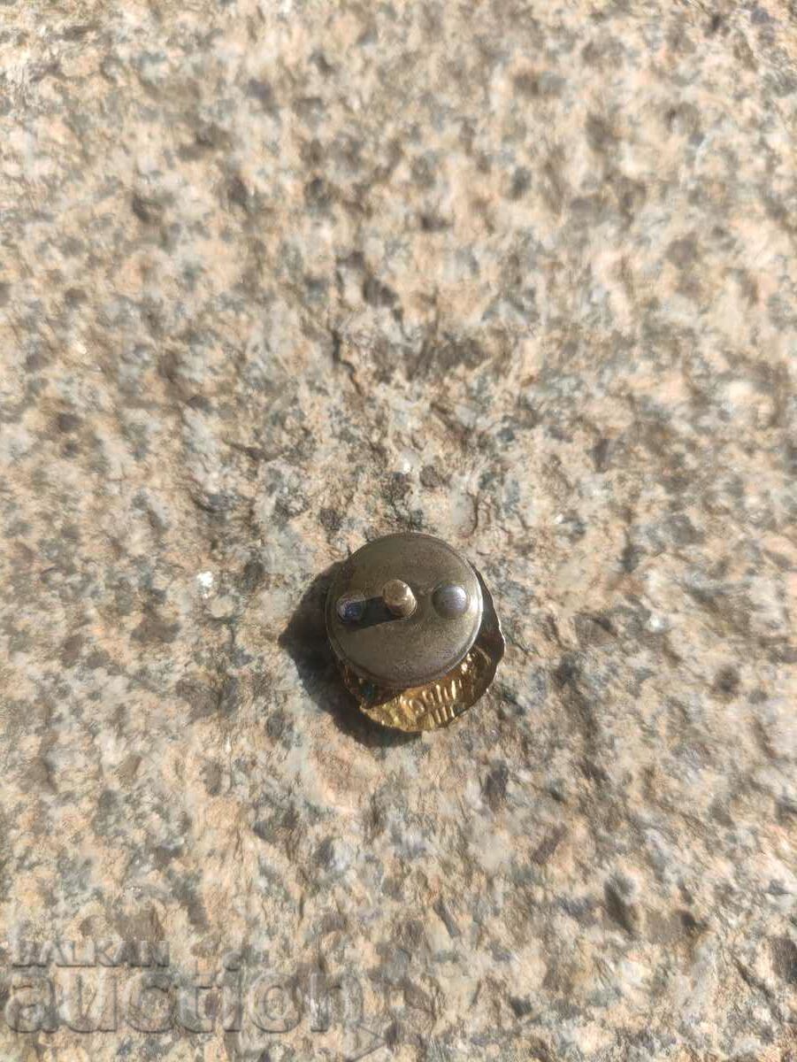 Delivery of NLRS badge Delivery of NLRS badge