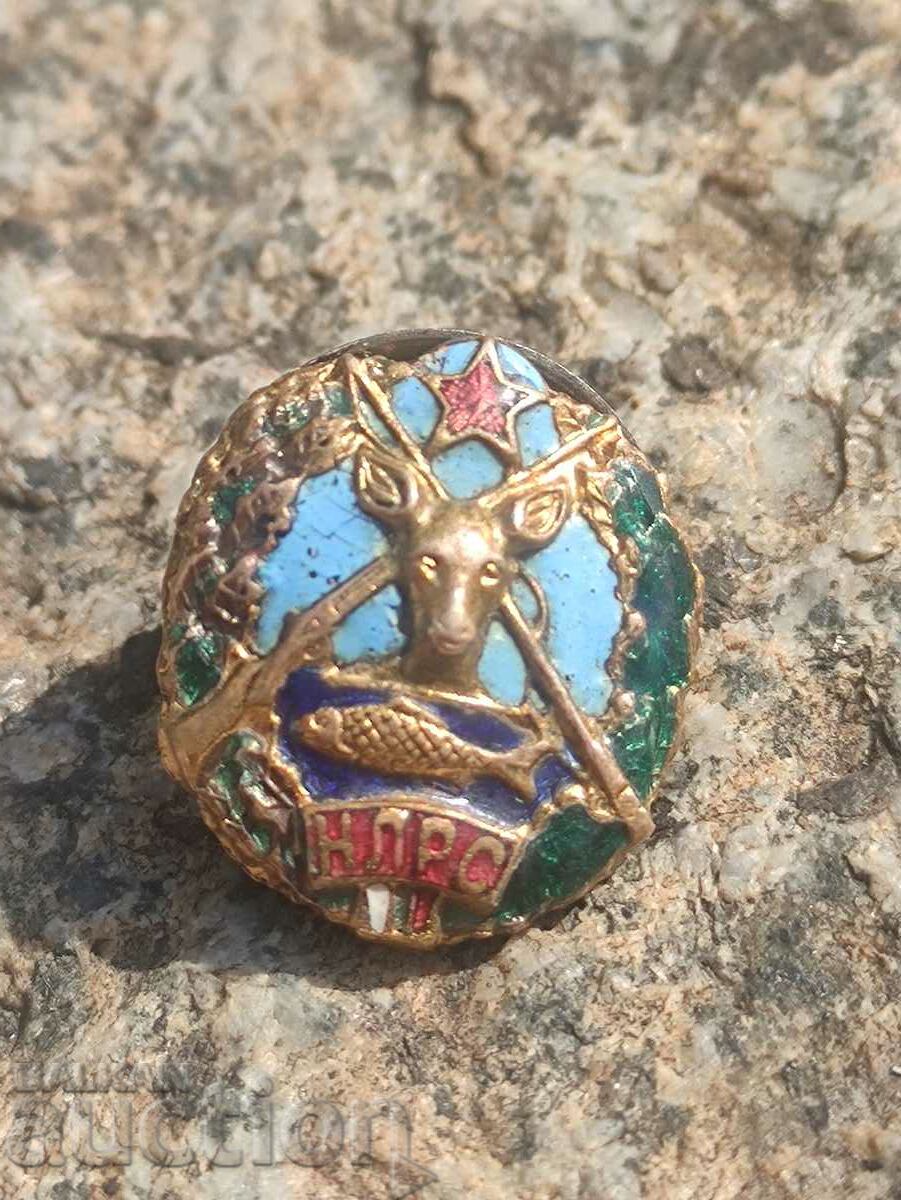 NLRS badge - 5 NLRS badge - 5