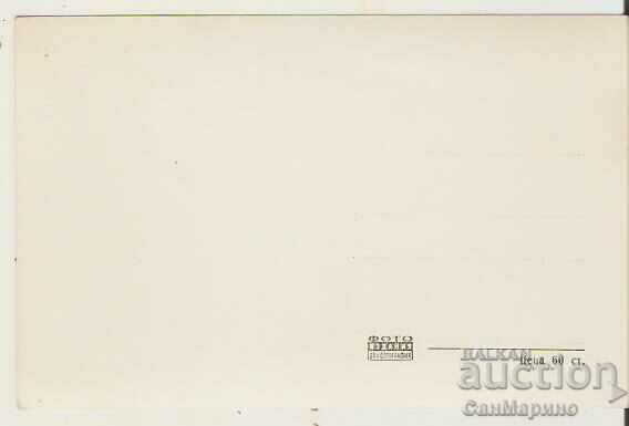 Картичка  България  Видин Градската градина* с цена 2.50 лв. | € 1.28