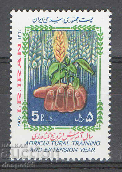 1985. Iran. A year of agricultural training and extension