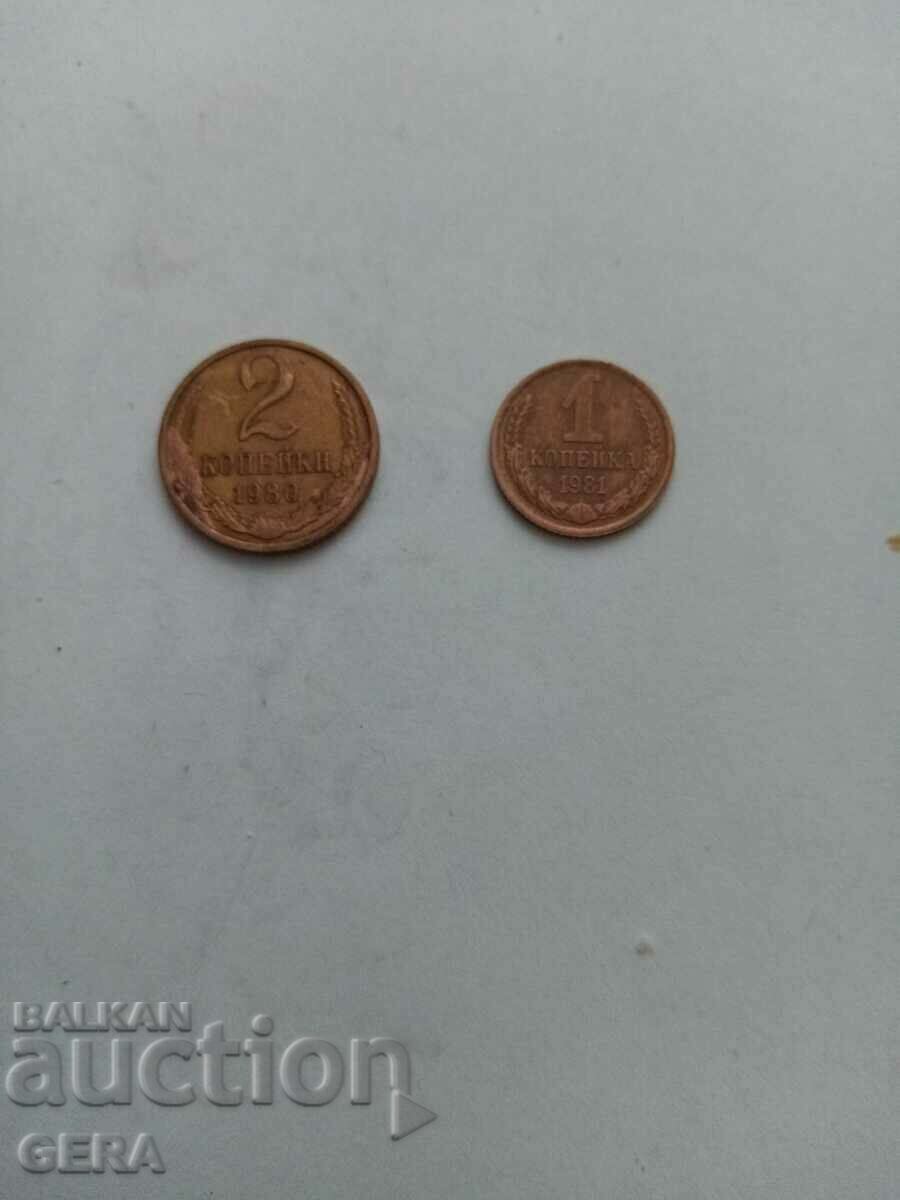 Coin coins