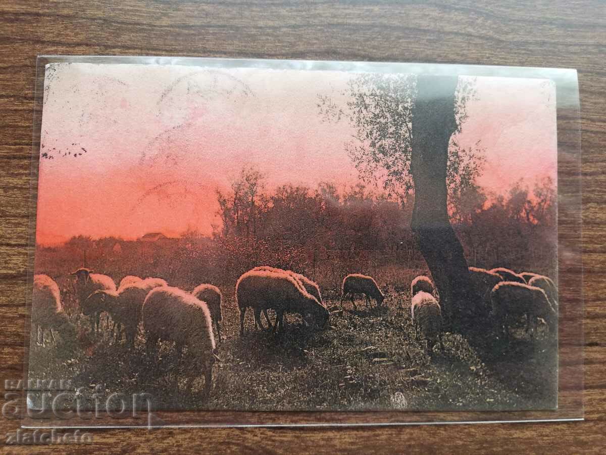 PK by Stefan Stefanov - Minister, advisor to Boris III with price 30.00 BGN | € 15.34