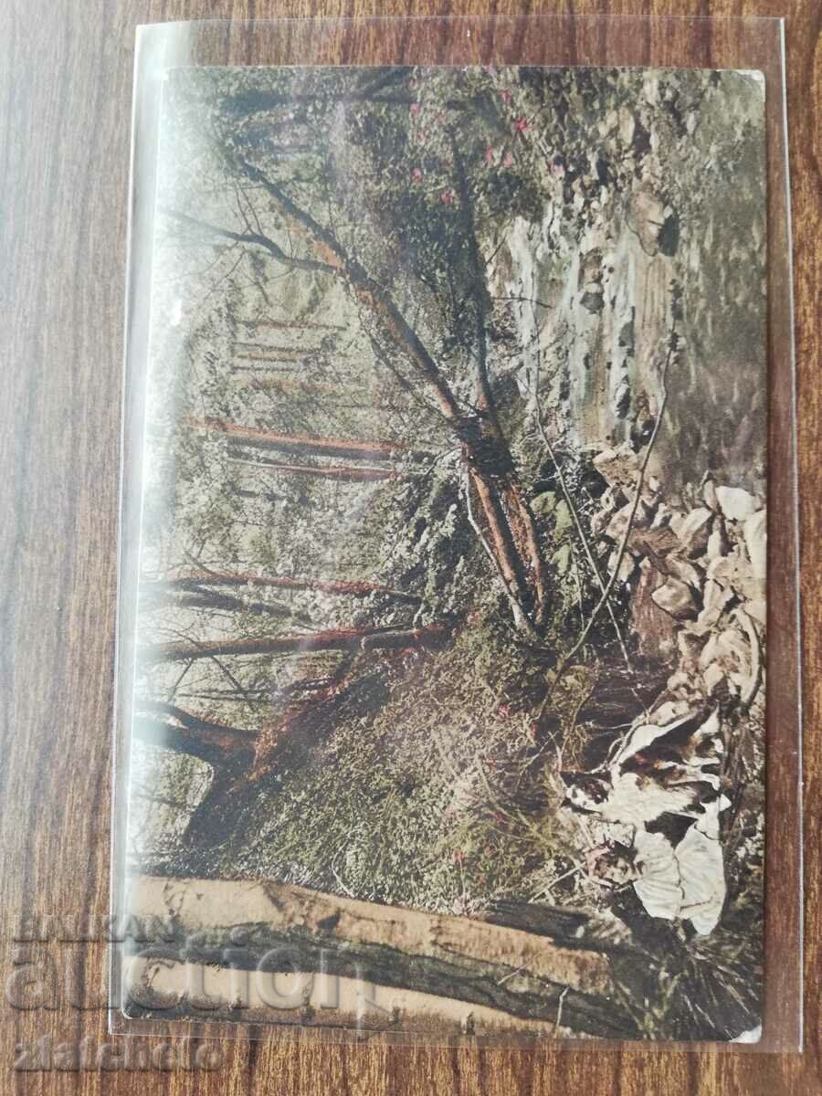 PK to Stefan Stefanov - Minister, advisor to Boris III with price 30.00 BGN | € 15.34 PK to Stefan Stefanov - Minister, advisor to Boris III with price 30.00 BGN | € 15.34