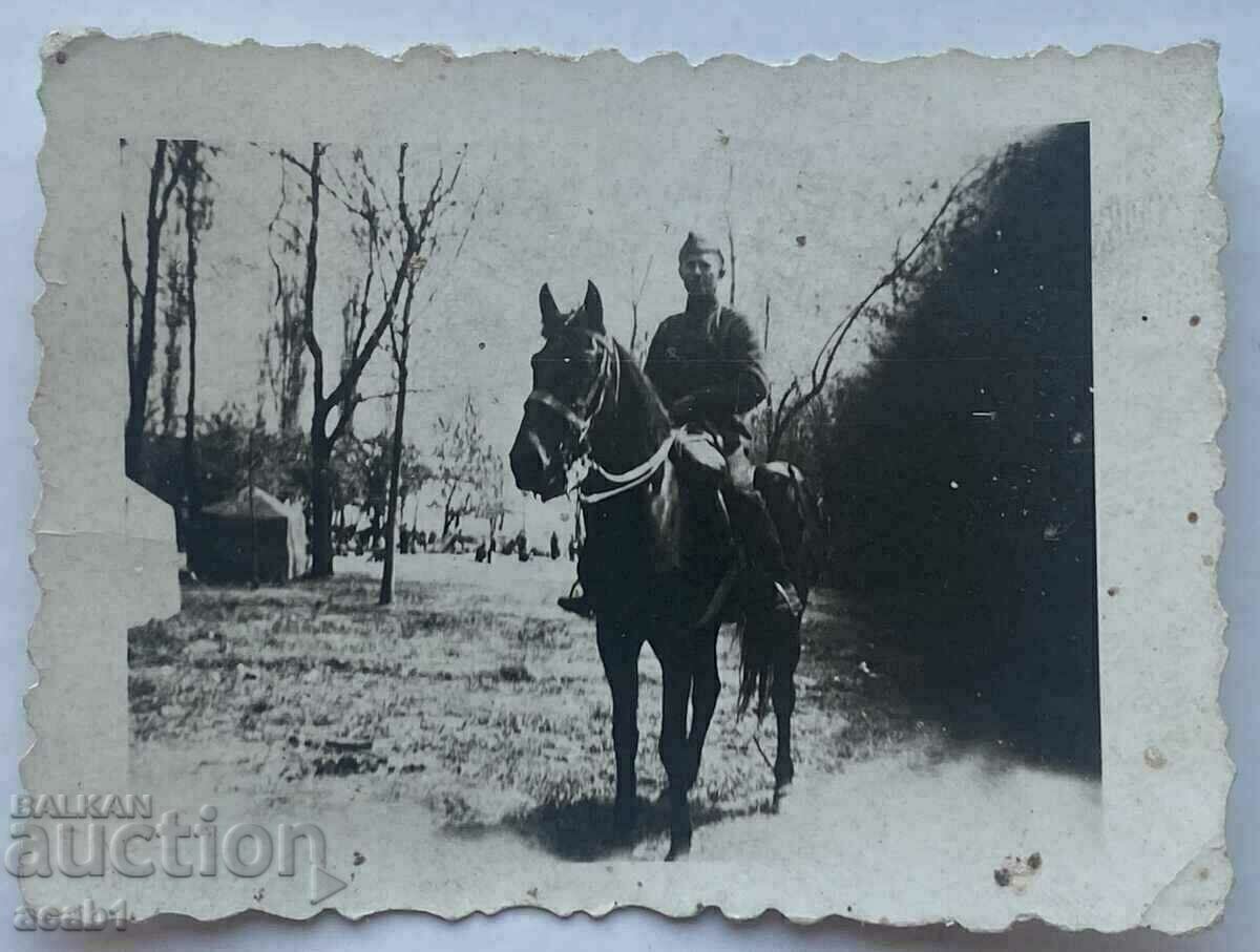 Cavaler 1941