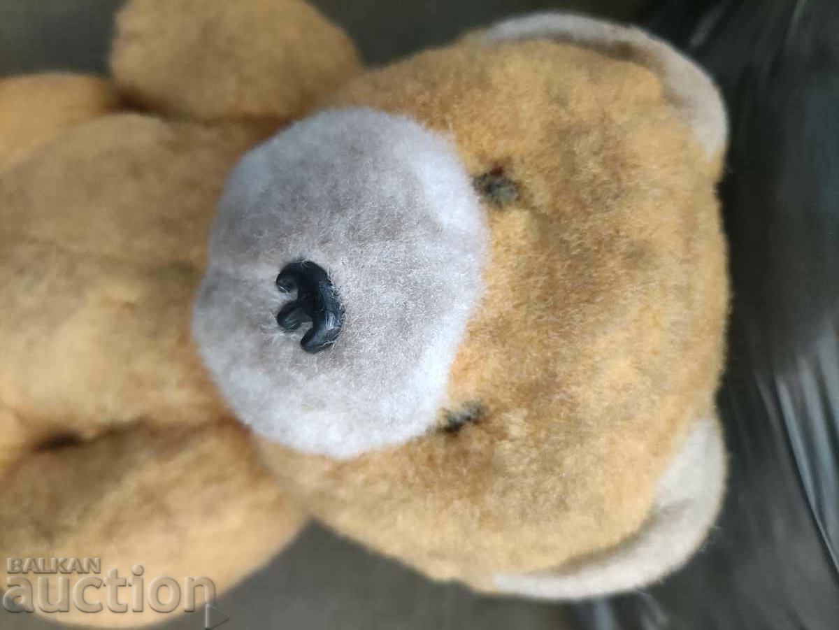 Παλιά αρκούδα - 5 Παλιά αρκούδα - 5