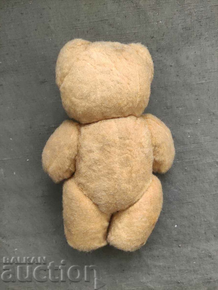 Παλιά αρκούδα - 7 Παλιά αρκούδα - 7