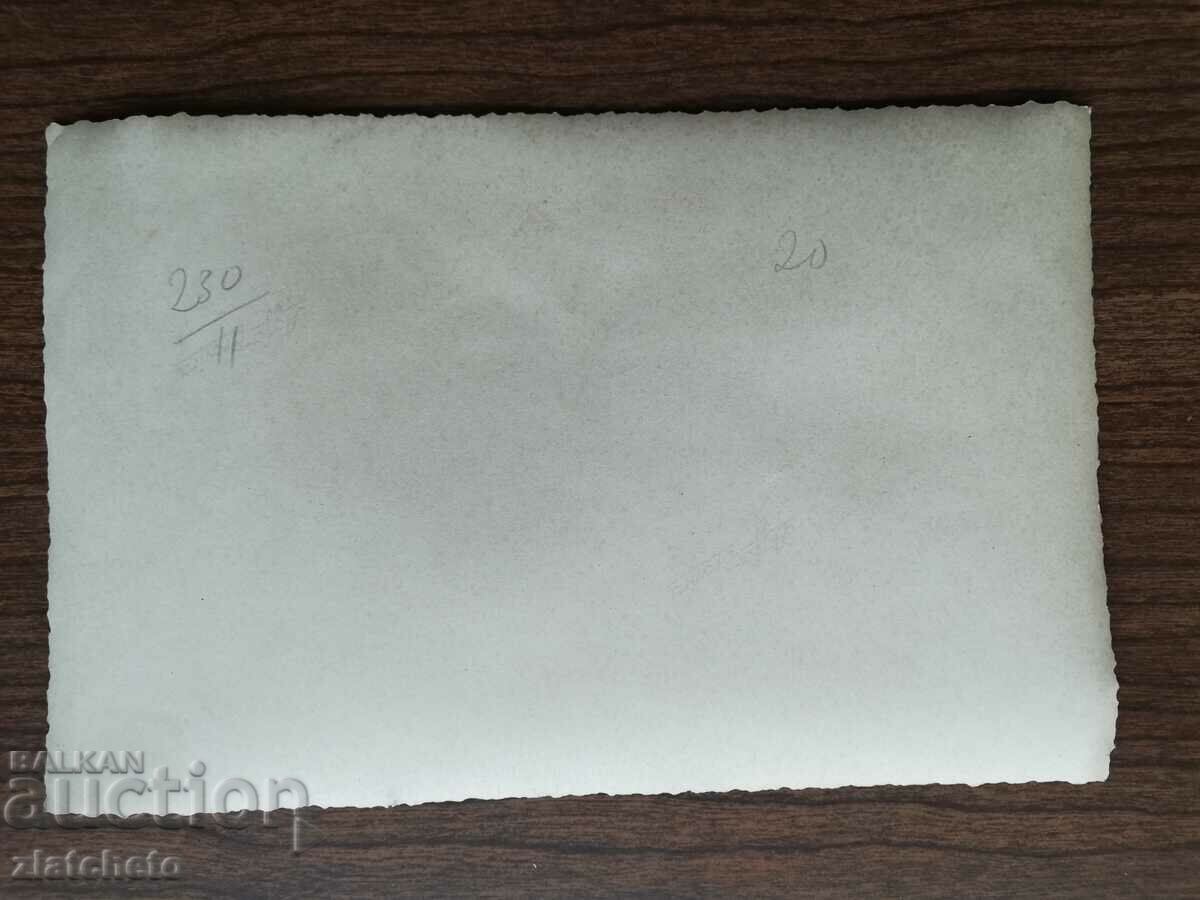 Delivery of Old photo Kingdom of Bulgaria - social figures, event