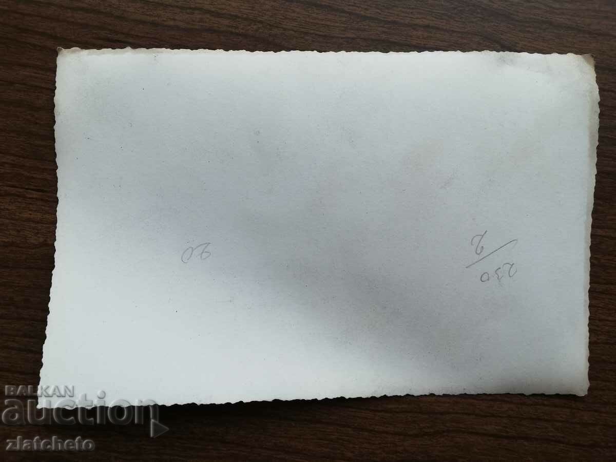 Delivery of Old photo Kingdom of Bulgaria - social figures, event Delivery of Old photo Kingdom of Bulgaria - social figures, event