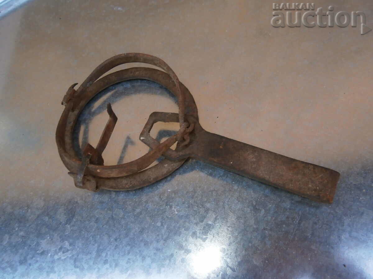 Delivery of mini mouse trap trap Delivery of mini mouse trap trap