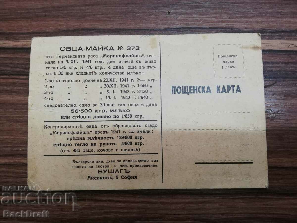 Auction Rare German Sheep-Mother Royal Card Auction Rare German Sheep-Mother Royal Card