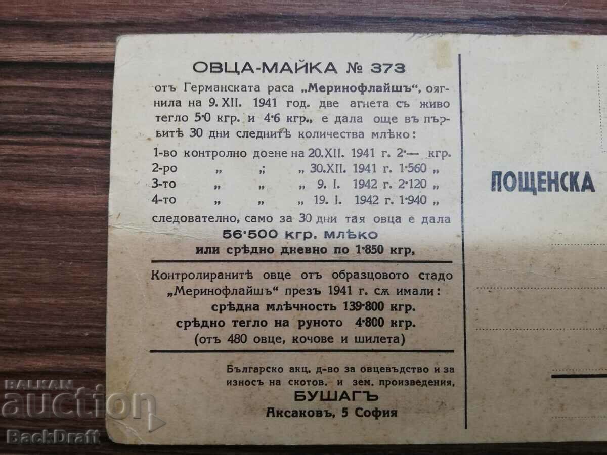 Delivery of Rare German Sheep-Mother Royal Card Delivery of Rare German Sheep-Mother Royal Card