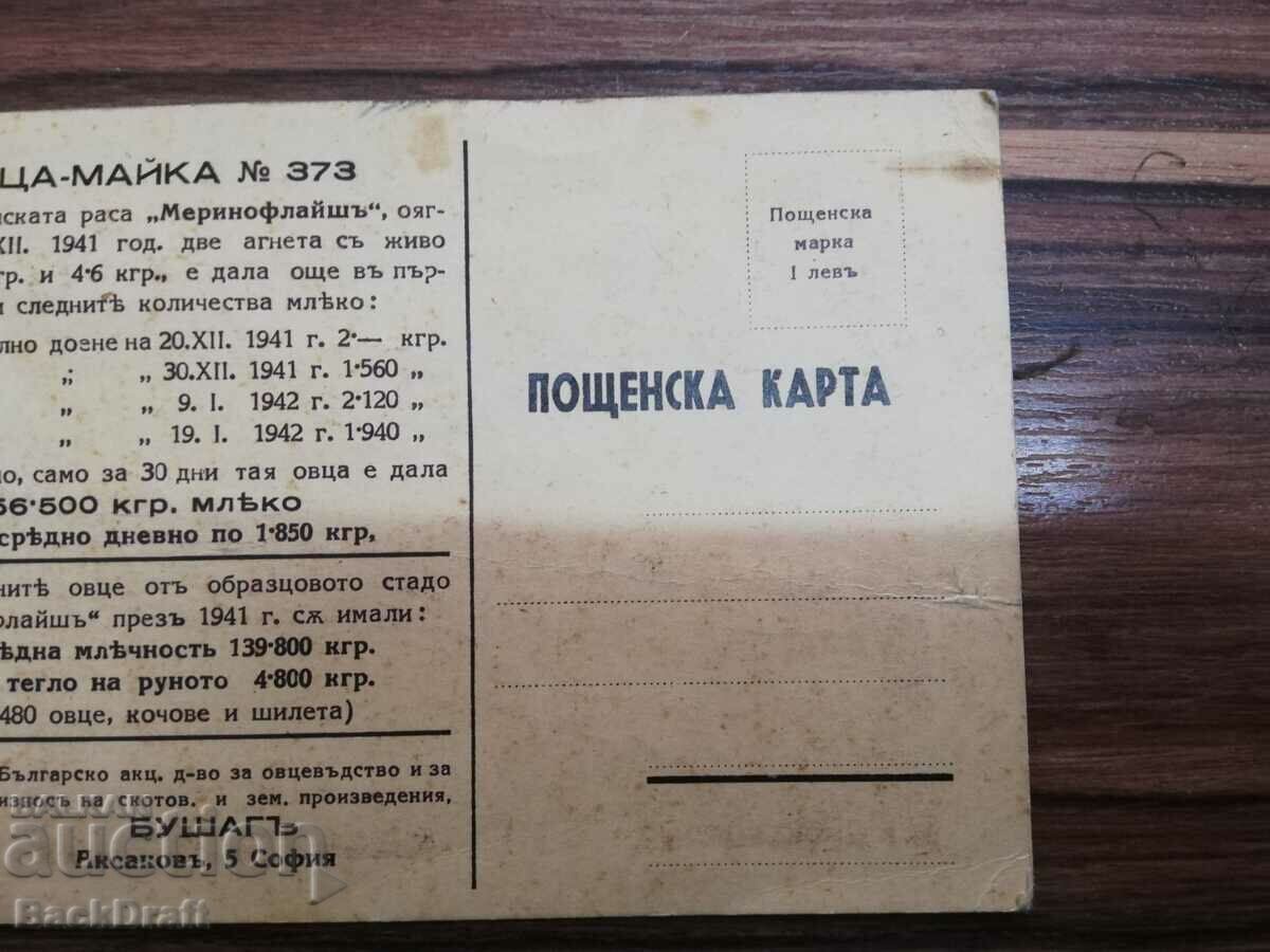 Rare German Sheep-Mother Royal Card - 5 Rare German Sheep-Mother Royal Card - 5