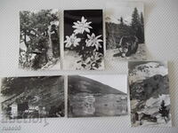 Lot of 6 pcs. cards from the mountain
