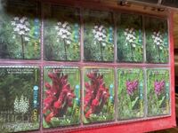 phono cards - read the description