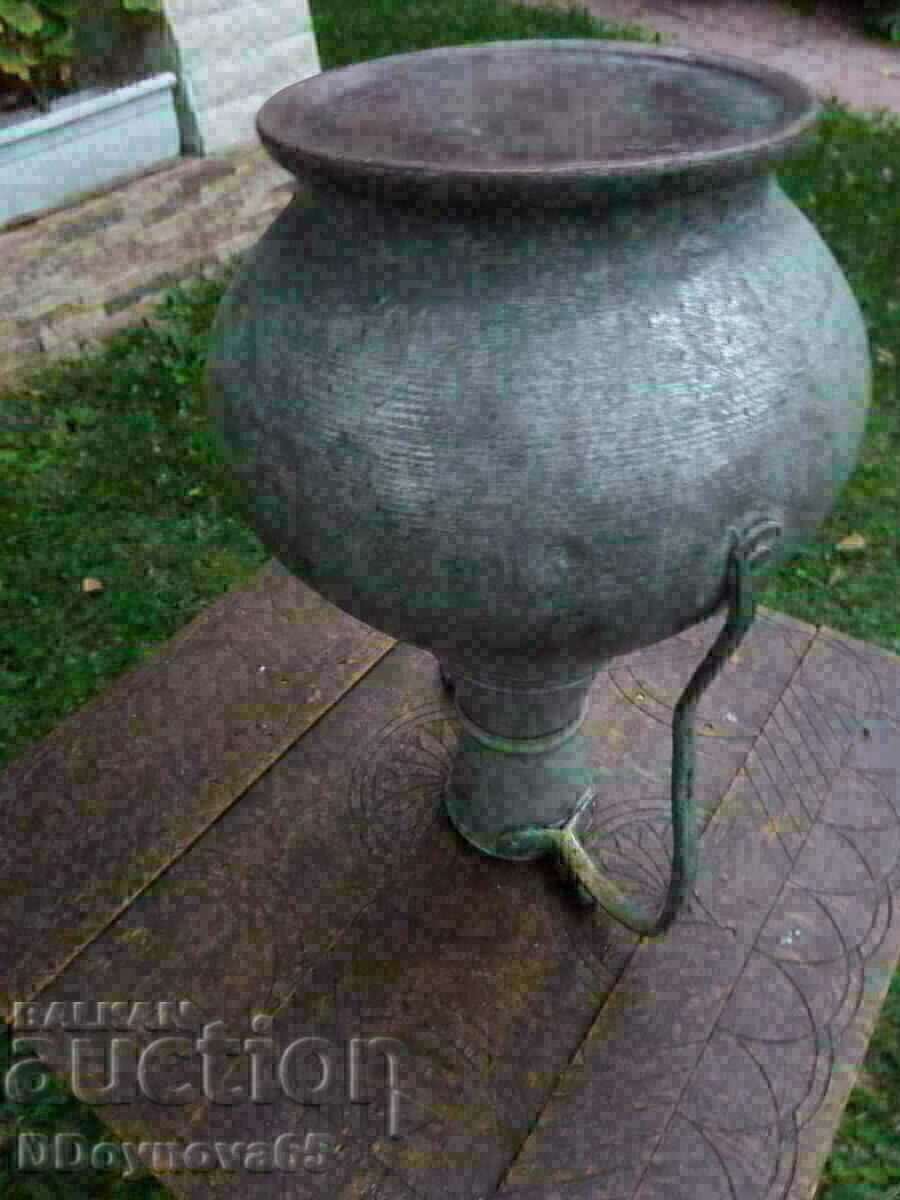 Old hibiscus - 5 Old hibiscus - 5