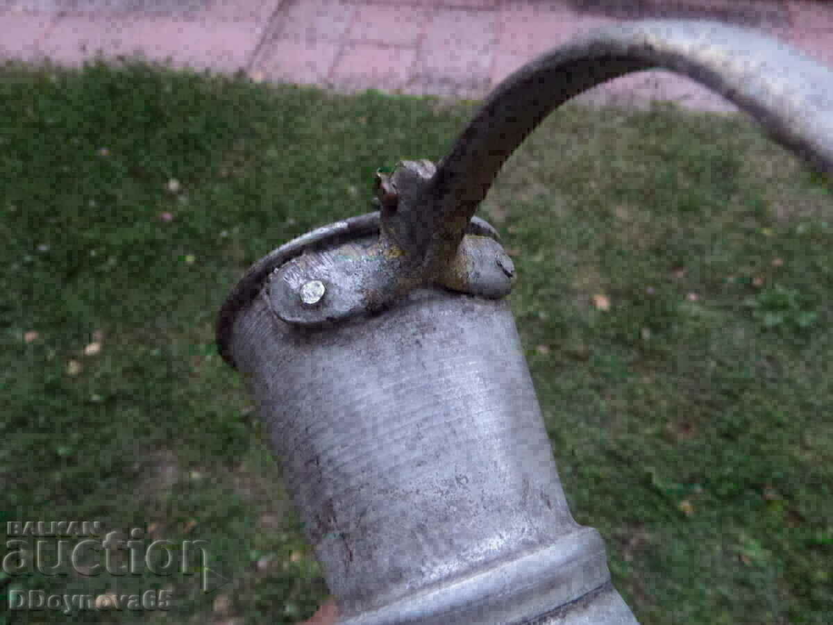 Old hibiscus - 6 Old hibiscus - 6