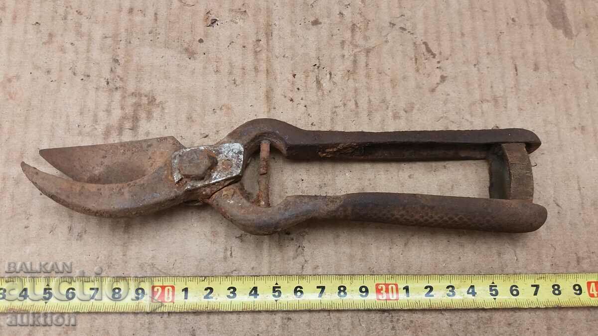 Auction OLD MASSIVE SOC. STEELIZED VINEYARD SCISSORS Auction OLD MASSIVE SOC. STEELIZED VINEYARD SCISSORS