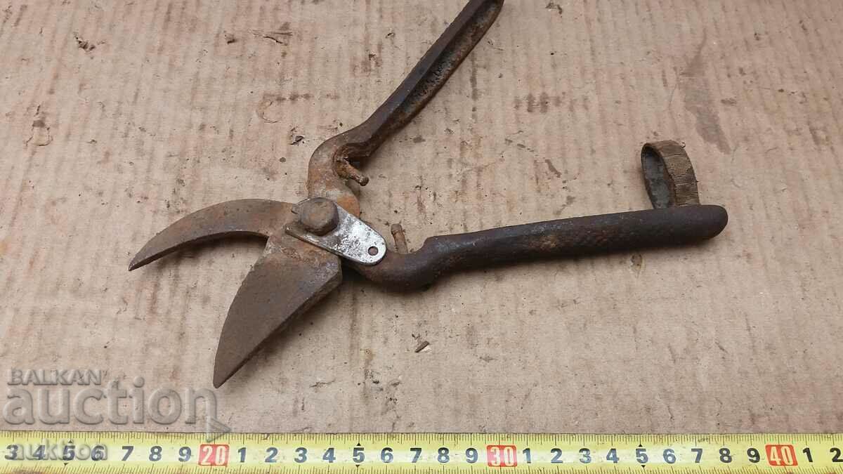 OLD MASSIVE SOC. STEELIZED VINEYARD SCISSORS - 5 OLD MASSIVE SOC. STEELIZED VINEYARD SCISSORS - 5