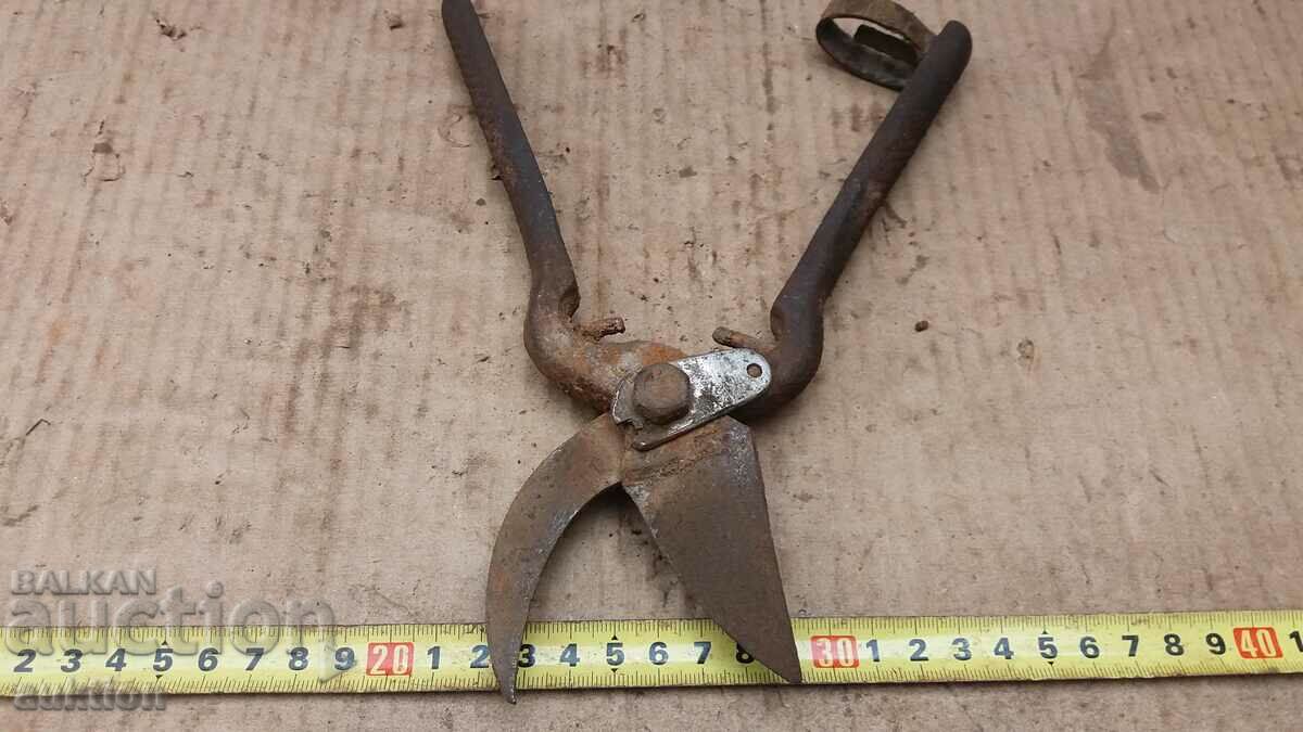 OLD MASSIVE SOC. STEELIZED VINEYARD SCISSORS - 6 OLD MASSIVE SOC. STEELIZED VINEYARD SCISSORS - 6