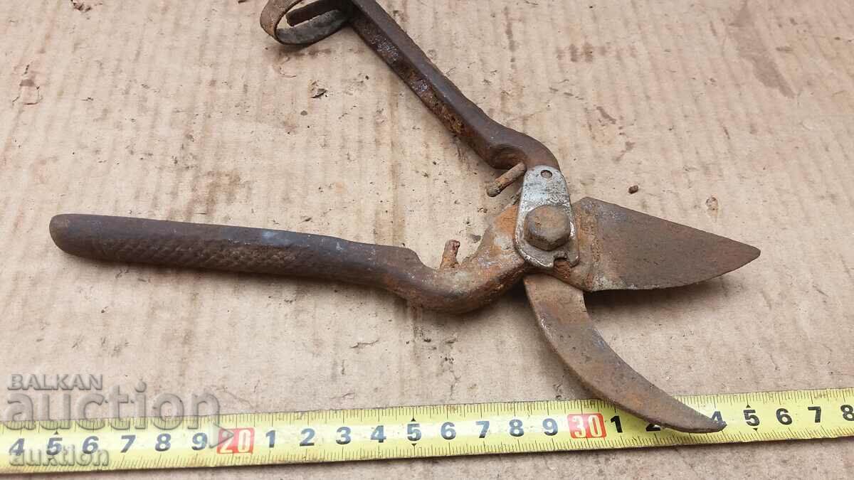 OLD MASSIVE SOC. STEELIZED VINEYARD SCISSORS - 7 OLD MASSIVE SOC. STEELIZED VINEYARD SCISSORS - 7