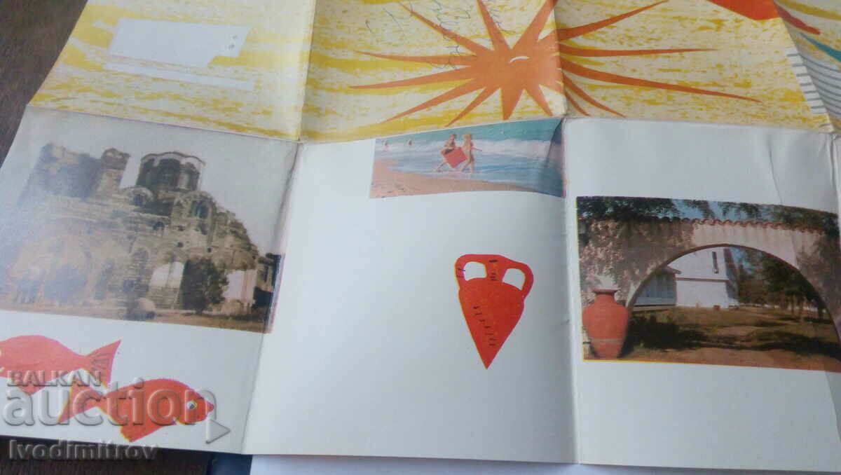 Auction  Sunny Beach brochure