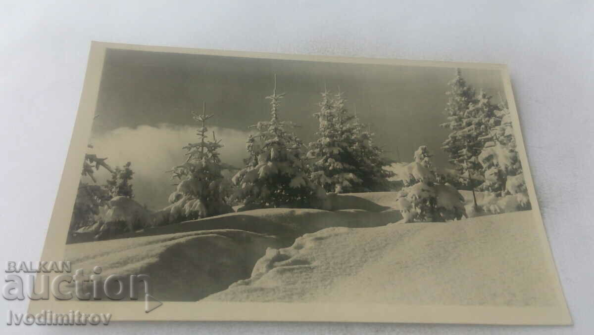 Пощенска картичка Зимна приказка 1962