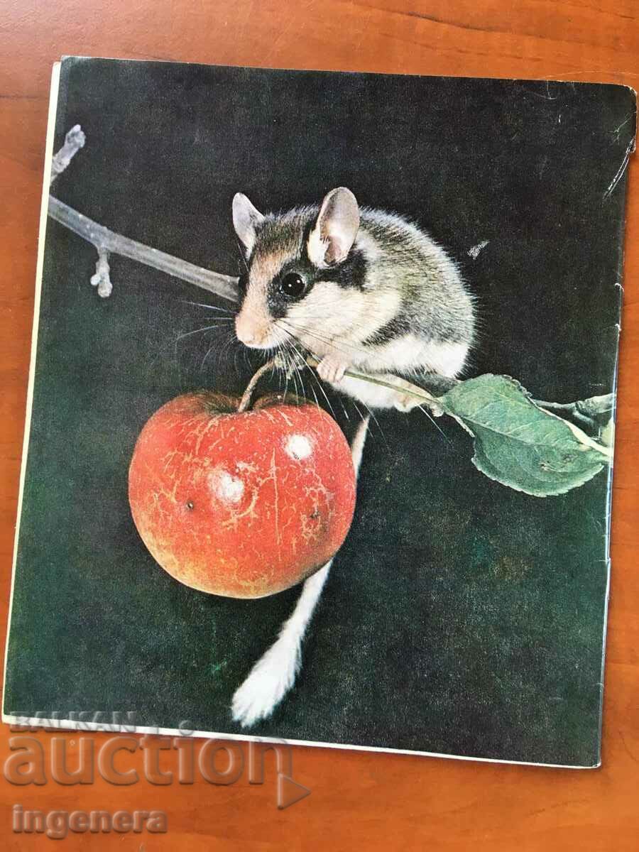 KOSMOS MAGAZINE KN-1/1975 with price 3.00 BGN | € 1.53 KOSMOS MAGAZINE KN-1/1975 with price 3.00 BGN | € 1.53