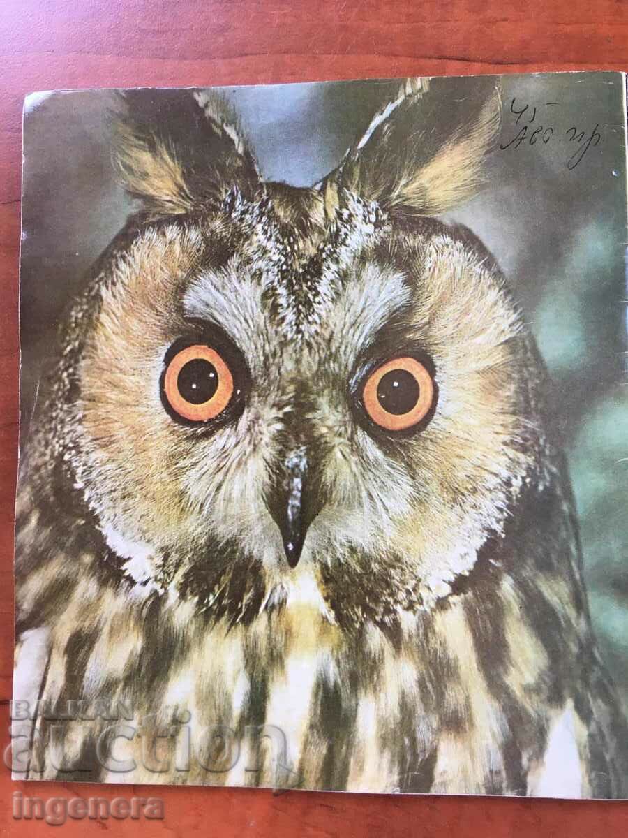 KOSMOS MAGAZINE KN-3/1975 with price 3.00 BGN | € 1.53 KOSMOS MAGAZINE KN-3/1975 with price 3.00 BGN | € 1.53