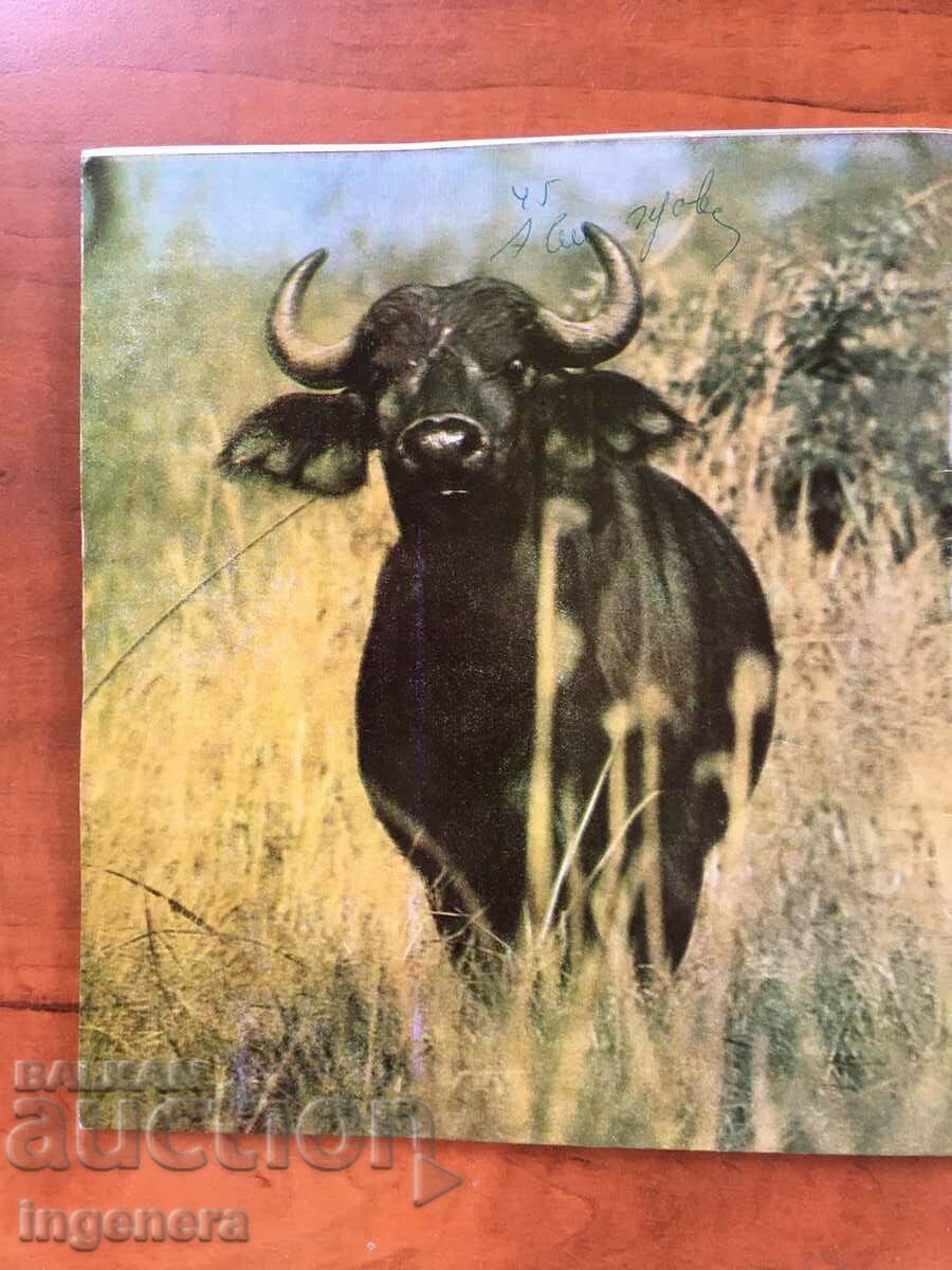 REVISTA " KOSMOS " KN-5/1975 cu preț 3.00 BGN | € 1.53 REVISTA " KOSMOS " KN-5/1975 cu preț 3.00 BGN | € 1.53