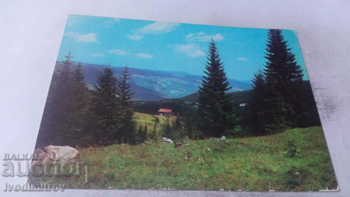 Пощенска картичка Родопи Из околностите на връх Персенк