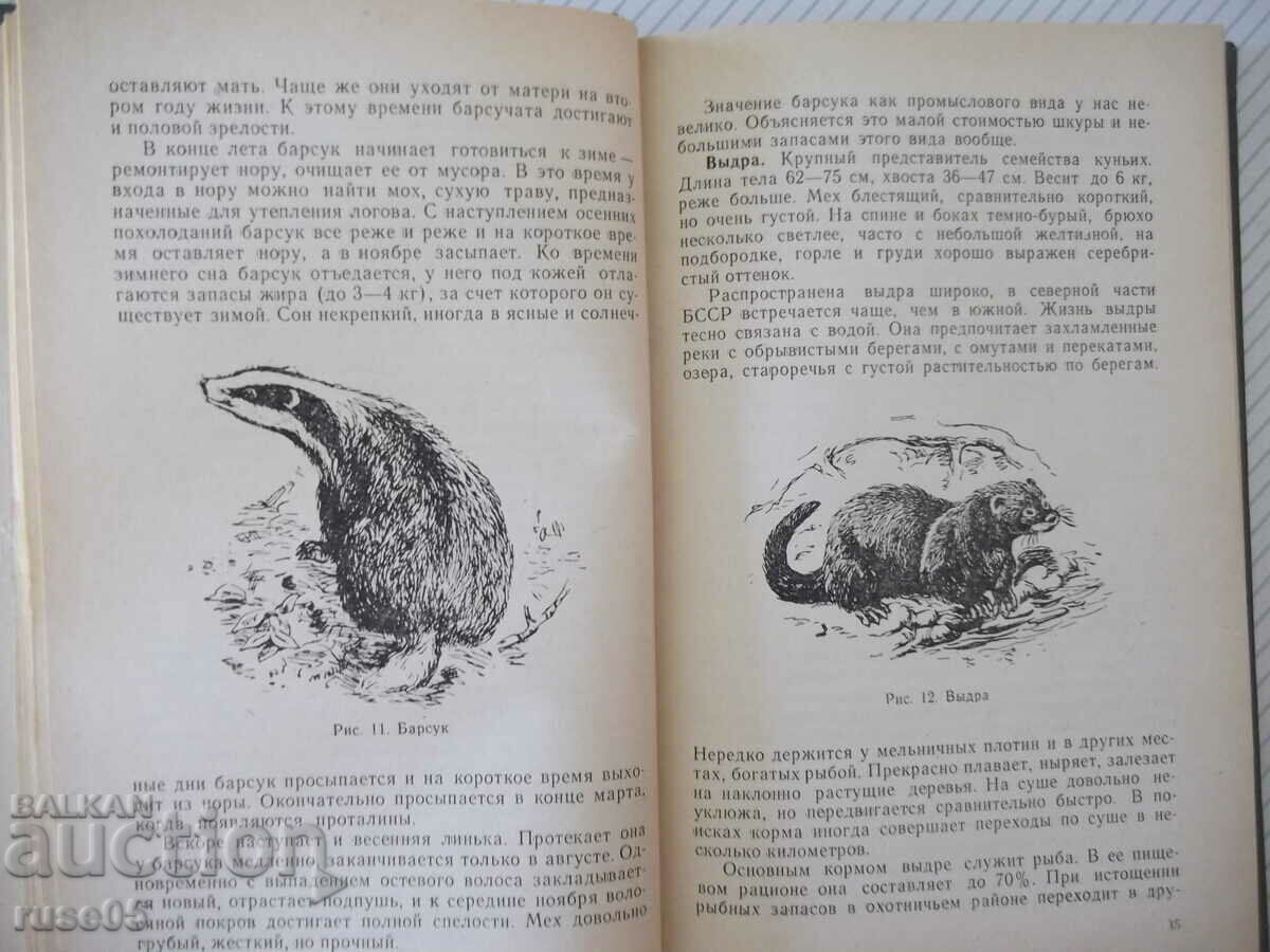 Auction Book "Hunter's and Fishing Guide - Collection" - 424 pages. Auction Book "Hunter's and Fishing Guide - Collection" - 424 pages.