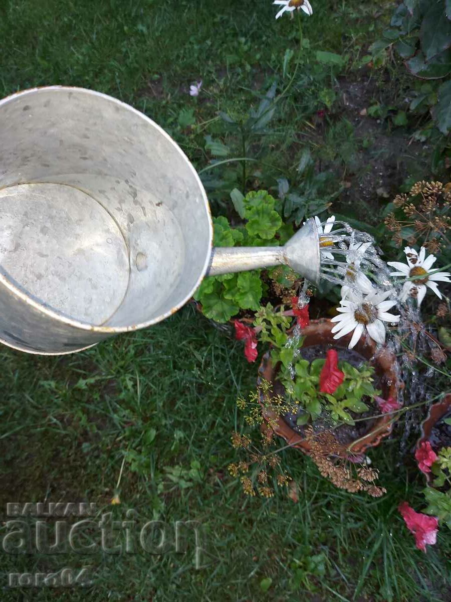 Auction LEAK Auction LEAK