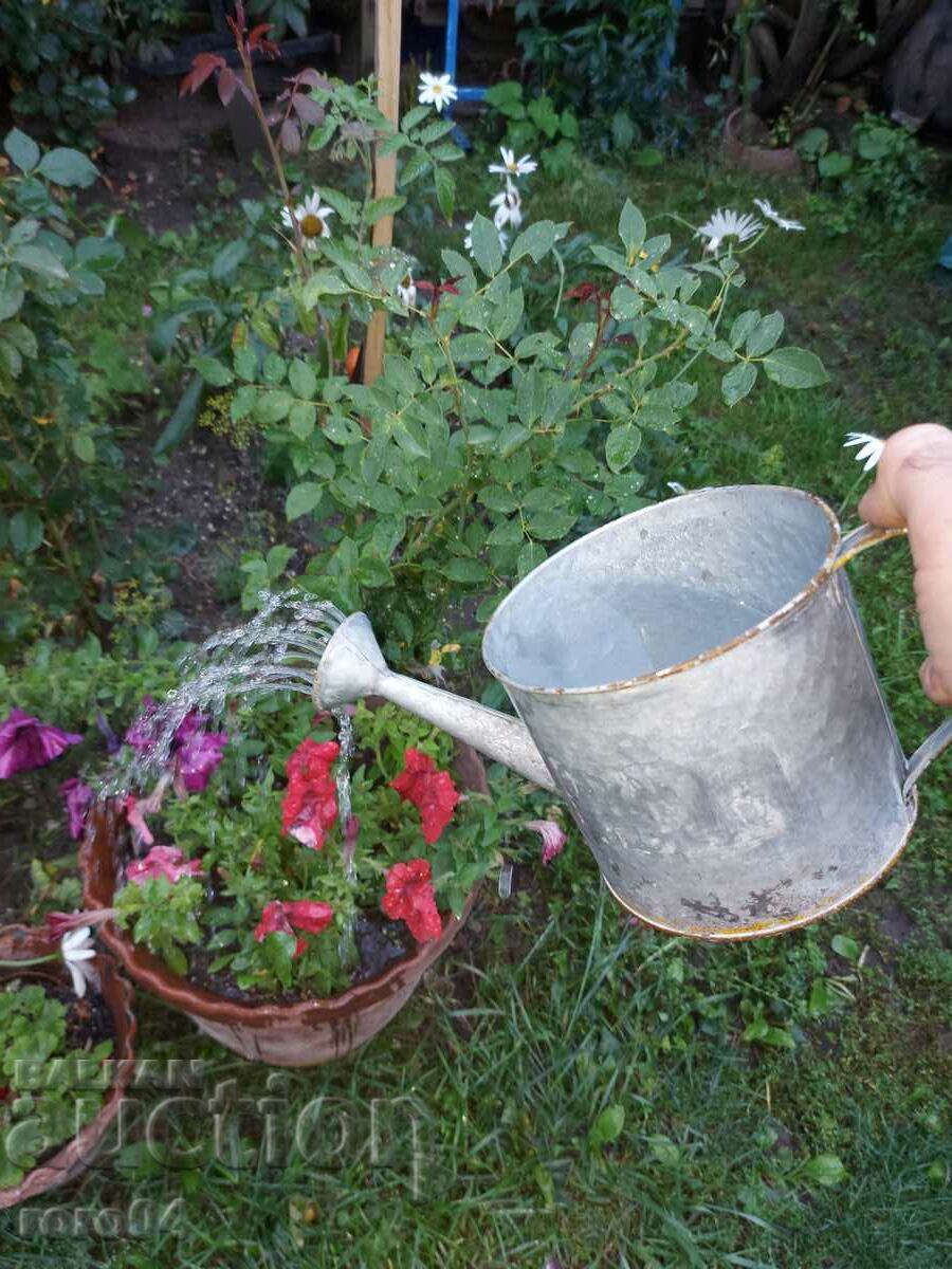 ЛЕЙКА