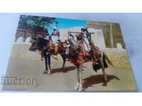 Kano Horse Guards Emir's Palace Postcard