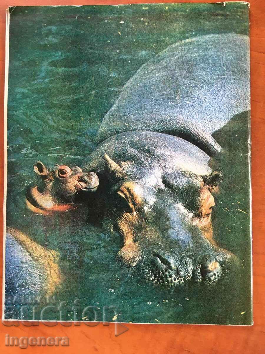 "COSMOS" MAGAZINE KN-5/1976 with price 3.00 BGN | € 1.53 "COSMOS" MAGAZINE KN-5/1976 with price 3.00 BGN | € 1.53