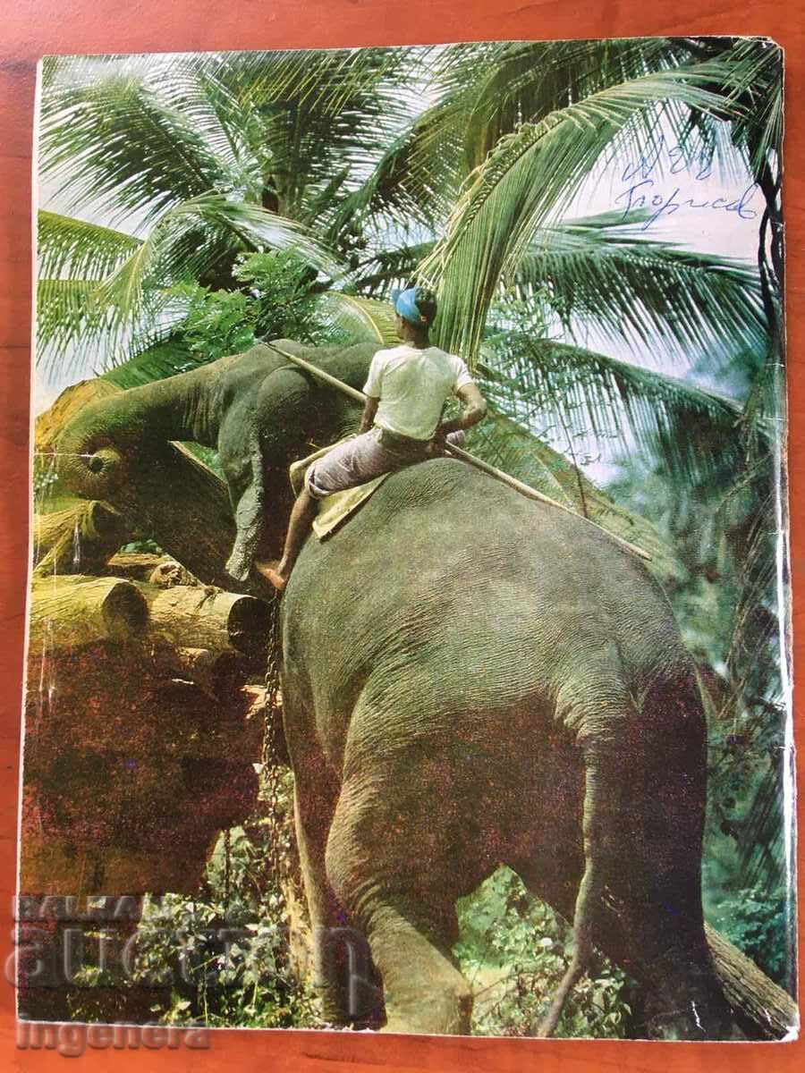 KOSMOS MAGAZINE KN-1/1976 with price 3.00 BGN | € 1.53